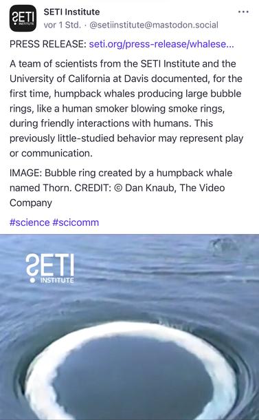 SETI Institute
vor 1 Std. •@setiinstitute@mastodon.social
PRESS RELEASE: seti.org/press-release/whalese...
A team of scientists from the SETI Institute and the University of California at Davis documented, for the first time, humpback whales producing large bubble rings, like a human smoker blowing smoke rings, during friendly interactions with humans. This previously little-studied behavior may represent play or communication.
IMAGE: Bubble ring created by a humpback whale named Thorn. CREDIT: © Dan Knaub, The Video Company
#science #scicomm🖖