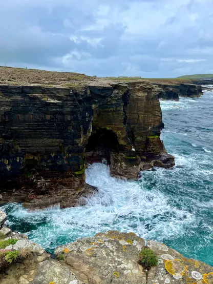 Une falaise accidentée surplombe des vagues turbulentes qui s'écrasent contre des formations rocheuses, avec des taches de mousse et de fleurs sauvages visibles.  Nord-ouest des Orcades