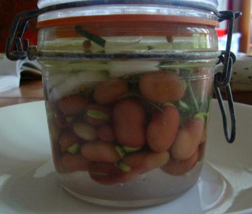 Petit bocal de fèves, oignon rouge frais, graines de coriandre, romarin, sarriette en lactofermentation