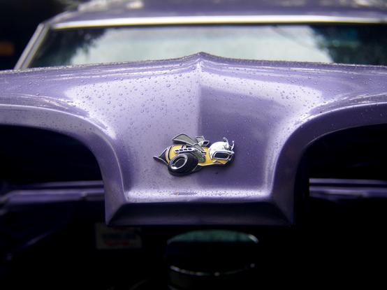 Close-up of a purple car hood with water droplets covering the surface. An emblem featuring a cartoonish bee wearing a helmet is prominently displayed on the hood. The windshield appears in the background.