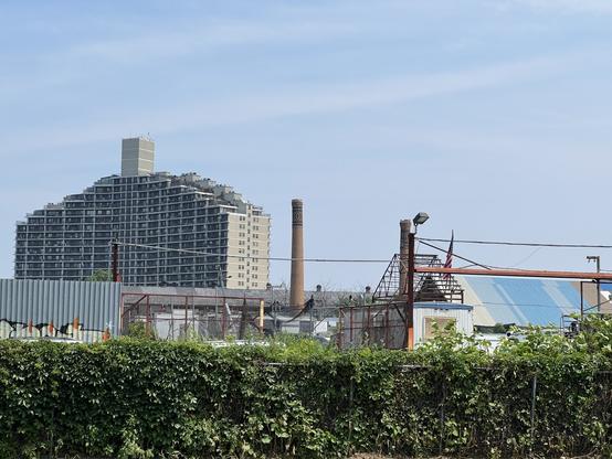 A fence covered in green vines and leaves in front of an industrial lot and a ship-shaped residential building