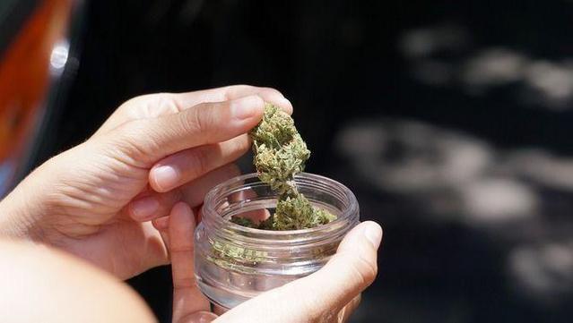 El 2023 Alemanya va legalitzar l'ús recreatiu de la marihuana (Pixabay)
