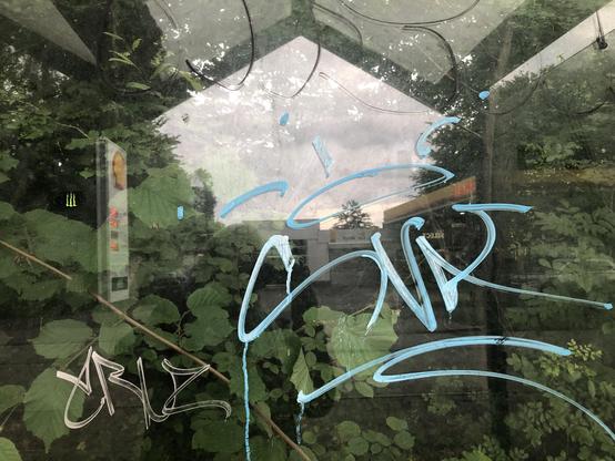 Nochmal abstrakt erscheinend durch Spiegelungen. Fotografiert die Scheibe an der Rückseite der Haltestelle. Dahinter sind Grünpflanzen, die Blätter erscheinen verwischt durch die nasse Scheibe. Wie im Freien schwebend ein leuchtend hellblauer Schriftzug (hin gekritzelt ) im Vordergrund. Das Dach spiegelt sich oben und die Öffnung des Häuschens erscheint hell als 5-Eck.