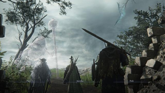 Mis colegas, Paco y Pisik, y yo en el inicio de carga de NightReign. Nos acercamo a una figura fantasmal translúcida que sostiene un bastón. La figura es grande y etérea. Los personajes están de espaldas a la cámara y están equipados con armaduras y armas. El entorno es sombrío, con árboles y una pared de piedras en ruinas. El cielo está nublado. En el cielo se ve una criatura voladora translúcida.

De izquierda a derecha son los personajes de la renacida, el arquero y el silvestre del juego Elden Ring Nightreign
