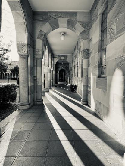 A sepia toned photo of a university cloisters with sunlight casting shadows from the columns.