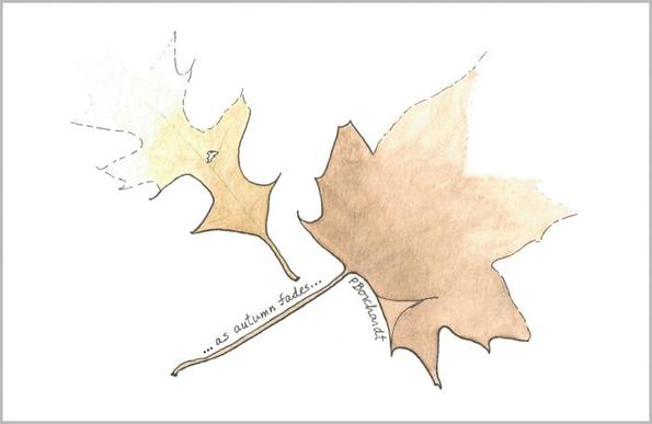 My watercolor and pen art of two autumn leaves.