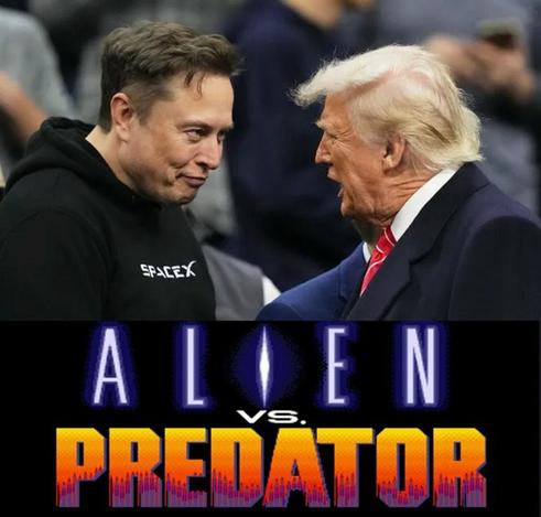 A photograph of Elon Musk (who is wearing a SpaceX hoodie) smiling and glaring at Donald Trump. Trump is wearing a blue suit, white shirt and red tie, and has his mouth open like a fish. Trump's hair is thin and white, and he has lots of wrinkles. Musk is looking a bit like an alien or a super-villain.