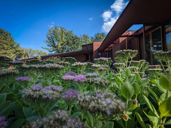 One of a series of photographs taken at a state park in Iowa that features a Frank Lloyd Wright-designed home.