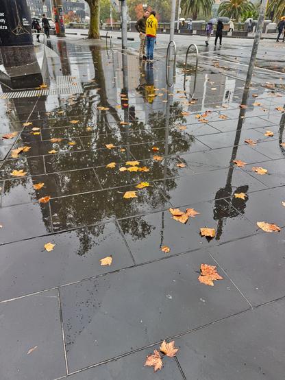 "Melbourne winter drama at its finest: the Arts Centre standing tall in the background, while the pavement glistens with rain-soaked defiance. The puddles are practically auditioning for lead roles in a reflective masterpiece, mirroring the moody sky like it’s some grand artistic statement. Leaves—scattered in lazy rebellion—add a dash of theatrical flair, as if thrown by an unseen stagehand for maximum aesthetic appeal. The cold bites with the precision of a seasoned critic, ensuring no one forgets that winter is very much the star of the show. Pedestrians, bundled in layers, clutch their coffees like lifelines, braving the crisp air with the quiet determination of souls who refuse to let a little chill dull their urban elegance. The scene is equal parts poetic and practical—Melbourne, ever the moody artist, refusing to adhere to a single genre. If this were a painting, it’d be called ‘Seasonal Introspection with a Side of Atmospheric Melancholy.’"
