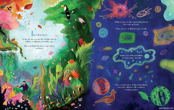 kingdoms of life by Carly A-intro spread
colourful animals and cells