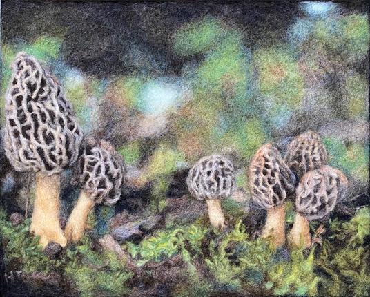 Needle felt of morel mushrooms in the foest