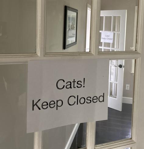 Warning sign.  Cats!  Keep Closed!   

Window replacement.