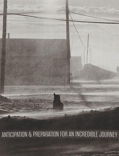a black and white destroyed, flooded landscape. a cat with a cocked ear looks out. the words "anticipation and preparation for an incredible journey"