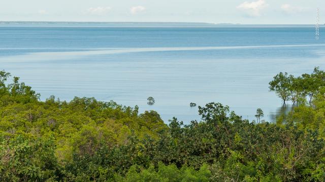 Nightcliff Bay. In the foreground is a dense mangrove forest up to the water's edge. Beyond is the calm water of the bay, reflecting the blue of the sky in two distinct bands, one pale, one darker. On the horizon is the low outline of Bathurst Island .