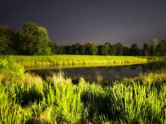 A liminal photo of a waterway surrounded by grass. The water is pitch black. The grass glows a bright green. There are many small trees in the background. Above is a dark gray, starry night sky.