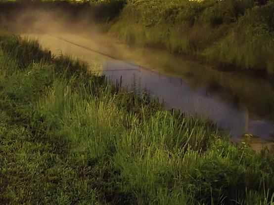 A ditch, full of water. Above the water floats a blanket of fog. The surrounding area is grassy.