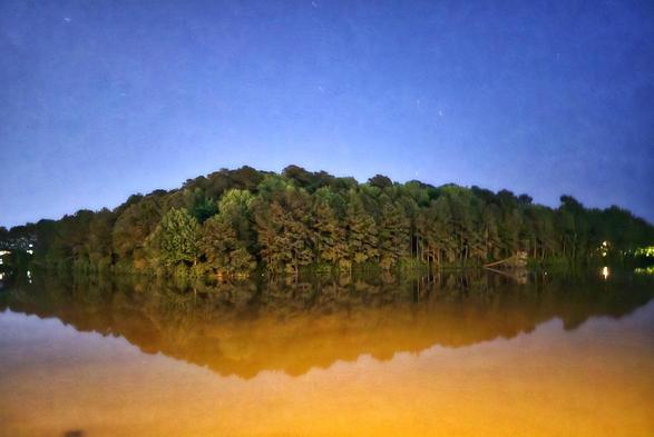 A photo of a tree-line at night. In the foreground is murky brown water, reflecting the trees. Above is the starry night sky.