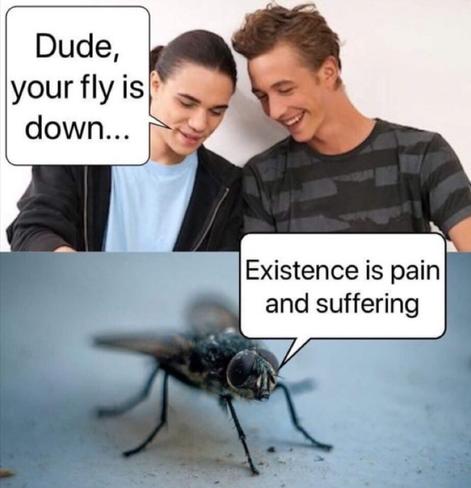 Top panel: two guys laughing, one says “Dude, your fly is down.” Bottom panel: a close-up of a housefly looking tired with the caption “Existence is pain and suffering.