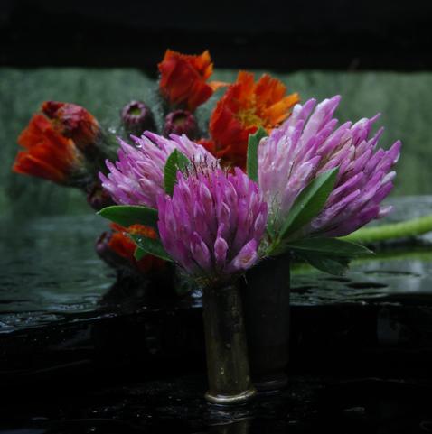 An orange hawkweed flower with numerous blossoms and buds lies on the edge of a large black piece of glass in the rain. This piece rests on another, similar piece. The hawkweed, along with a black metal strip on which window boxes rest at the top of the image (not shown), and a small section of the garden form the background of the image.
The main motif is three pink clover blossoms with delicate green leaves. Two are housed in a 9 mm Para cartridge case, one in a 5.6 mm case.