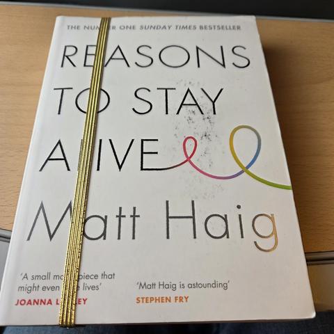 The dirty cover of the book reasons to stay alive by Matt Haig