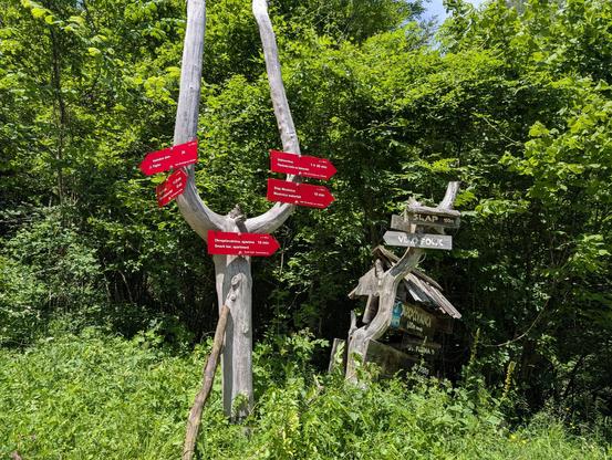 Wooden catapult shape with several red finger post style signs. Beyond is another wooden sign of sorts. Trees surround
