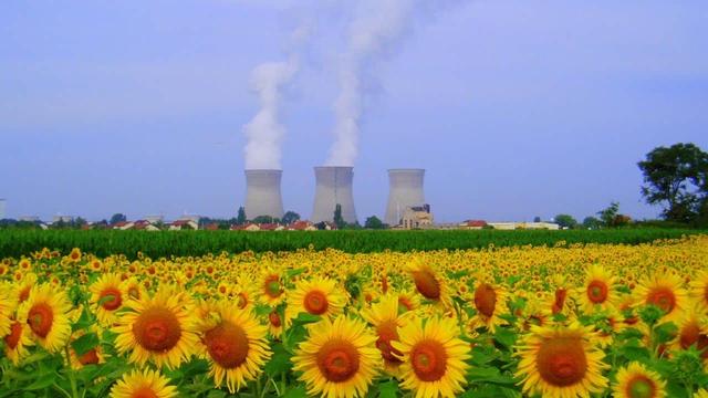 Vue de la centrale nucléaire du Bugey à Saint-Vulbas dans l’Ain, avec au premier plan un champ de tournesol.