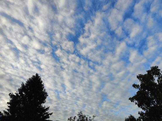 Des nuages blancs moutonneux qui s'étiolent dans un ciel bleu, formant plein de petits carrés mis bout à bout. Quelques silhouettes d'arbres qui se découpent en contre-jour.