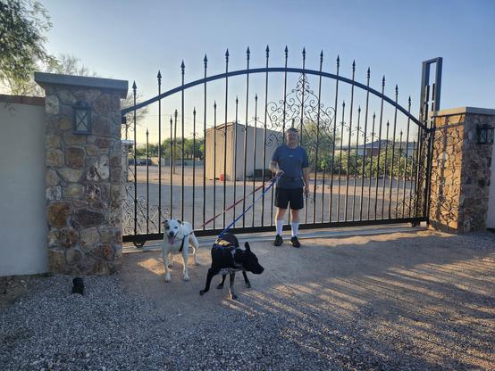 Two dogs and a dude stand in front of a very fancy gate - it's wrought iron spear shapes and swirls, with stone pillars on either side.  It is at least 4 feet taller than the dude at its tallest.
