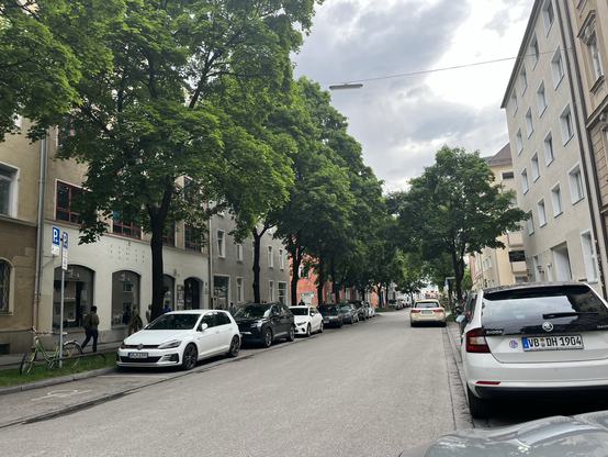 Straat met prachtige bomen