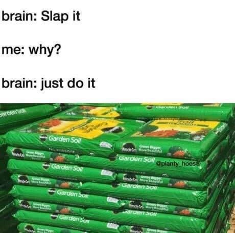 Image shows a pile of packs of soil for gardening.
Text says: 
Brain: Slap it
Me: Why?
Brain: Just do it