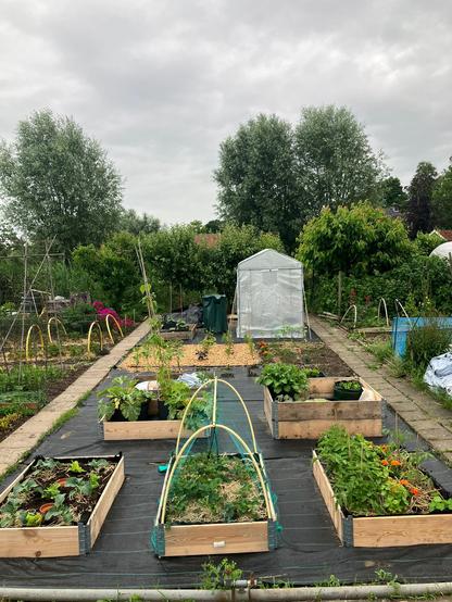 Community garden after some rain