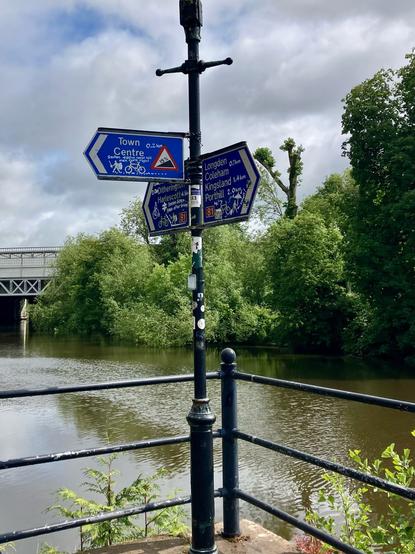A photo showing three blue sign arms on a lamppost sited on a riverside walk, the rather murky river behind. The sign arms indicate various destinations for a cycle path, including one with a steep incline to the town centre. Someone has added their own information in white paint, including distances. They have also added directions to the railway station, two alternatives with one via steps just after the bridge ahead (they have drawn on steps under the figure of a person walking). They have also given the pedestrian a sword and shield. On another sign arm the figure of a pedestrian has an umbrella and what appears to be a wheelie suitcase (not sure but apparently it’s ‘small!’). An old penny-farthing bicycle has also been drawn on. A mixture of factual information and random doodling; useful and fun.
Trees line the opposite bank of the river. The sky is cloudy with a hint of blue.