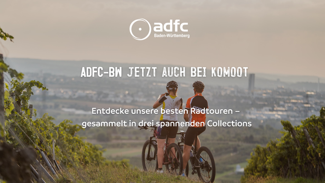 Zwei Radfahrende genießen einen Panoramablick