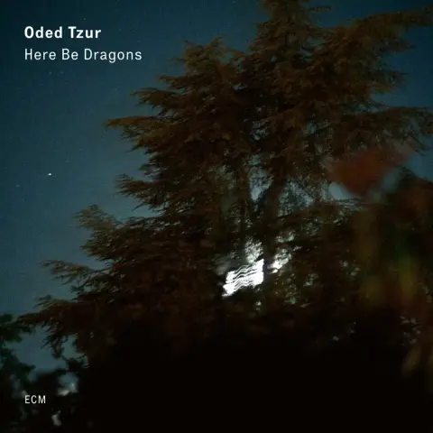 Oded Tzur - Here Be Dragons LP cover