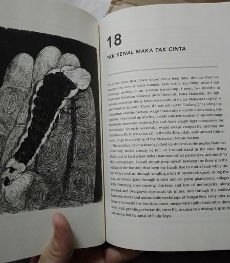 A chapter of the book, the title is "Tak kenal maka tak cinta"