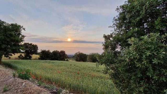 Ambient estiuenc a Sant Guim de la Plana (Emma Quer)
