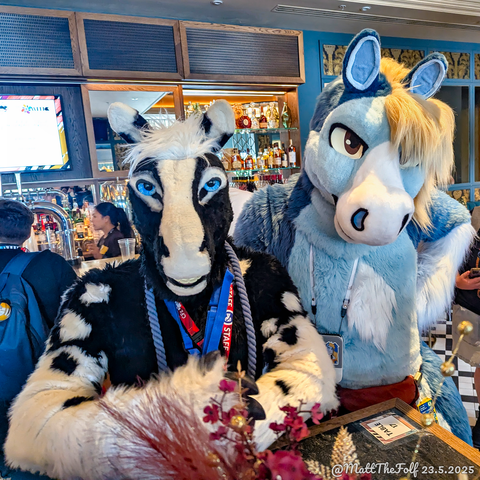 This is a candid photograph of two fursuiters in the Brightsmith bar at the ConFuzzled Hilton, with other con attendees and bartenders in the background. On the left is a black and white hornless unicorn, and on the right is a blue pegasus, who are both looking somewhat inquisitively at the camera.