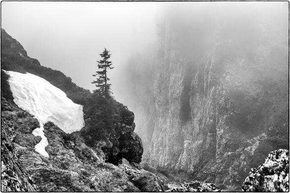 Schwarzweissfotografie einer Berglandschaft im Nebel.