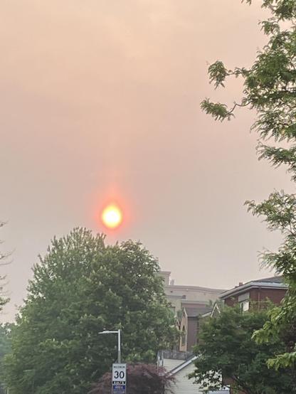 The big ole sun is really orange in the hazy sky Over green trees