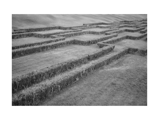 lawn with neatly cut hedges in lisbon, shot in black and white from an out of angle perspective