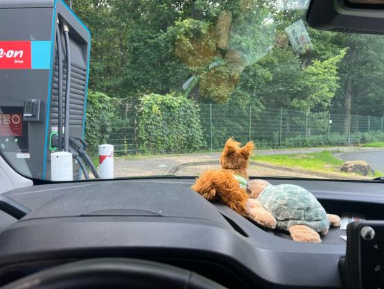 Blick über das Armaturenbrett aus der Frontscheibe. Im Hintergrund ein Zaun, Bäume und der Rest des Parkplatzes. Auf dem Armaturenbrett Kröti aka Klein-a-Tuin und das Podhörnchen.