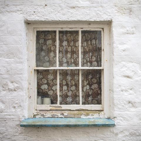 An old, run down window set in a wall of white painted bricks.The white window frame is peeling. A blue window sill underneath is also peeling. An old brown floral curtain is drawn inside. It has a vintage 1970's style and looks old.