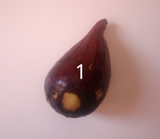 a fig (a kind of fruit) with the number 1 written on it