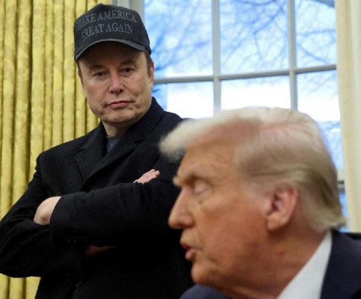 Trump's Chef Elmo turning on his master...before the master kills him?