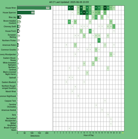 Chart generated by BirdNET-Pi with rows of all detected birds for Thursday, June 05, 2025 in decending order.  The first large column displays a bar chart of relative frequency; the 24 reamaining columns create cells with the bird count for each hour of the day shaded by relative count.