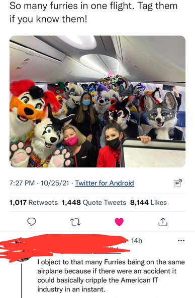Text at top: "So many furries in one flight. Tag them if you know them!"

Image in the middle: aircraft cabin filled with people in furry costumes.

Text at bottom: "I object to so many Furries being on the same airplane because if there were an accident it could basically cripple the American IT industry in an instant."