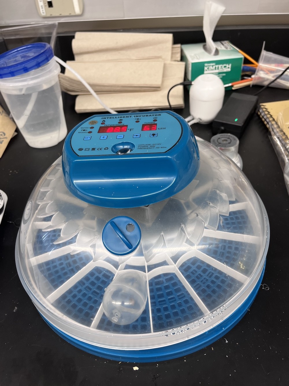 automatic egg incubator