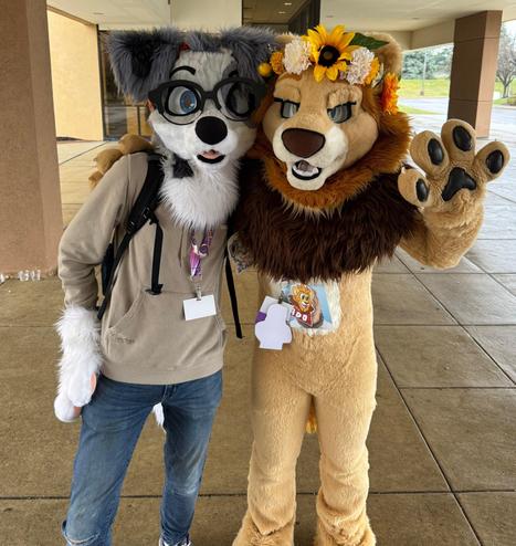 A collie fursuiter and a lion fursuiter