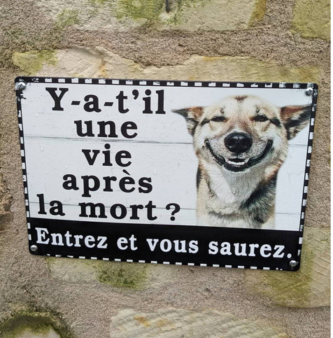 Un chien souriant avec la phrase "Y a-t-il une vie après la mort ? Entrez et vous saurez"