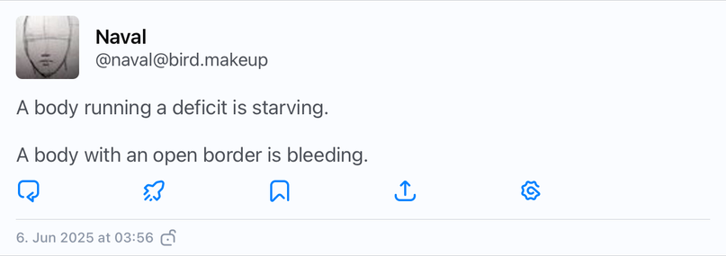 A tweet by Naval Ravikant, saying:

A body running a deficit is starving. 

A body with an open border is bleeding.